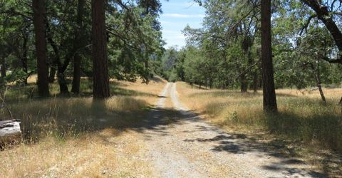 4426 Bald Mountain Road, West Point, CA 95255 Photo