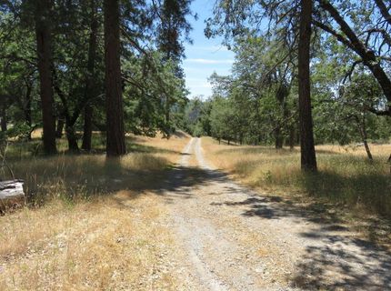 4426 Bald Mountain Road, West Point, CA 95255 Photo
