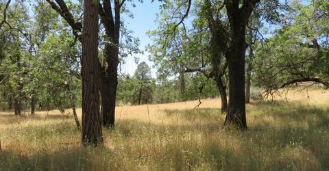 4426 Bald Mountain Road, West Point, CA 95255 Photo