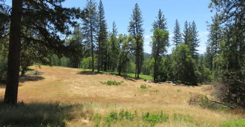 4426 Bald Mountain Road, West Point, CA 95255 Photo