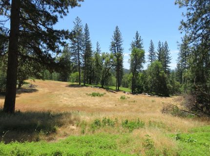 4426 Bald Mountain Road, West Point, CA 95255 Photo