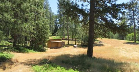 4426 Bald Mountain Road, West Point, CA 95255 Photo