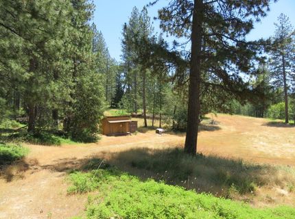 4426 Bald Mountain Road, West Point, CA 95255 Photo