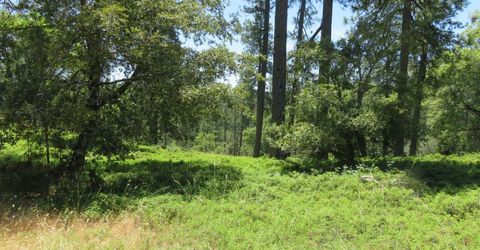 4426 Bald Mountain Road, West Point, CA 95255 Photo