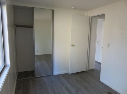 4426 Bald Mountain Road, West Point, CA 95255 Photo