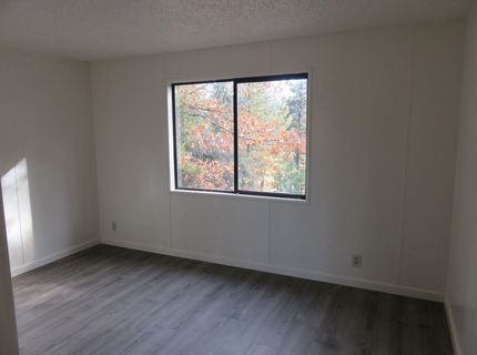 4426 Bald Mountain Road, West Point, CA 95255 Photo