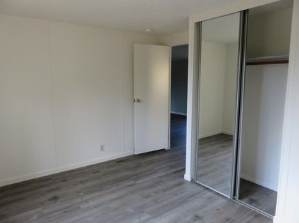 4426 Bald Mountain Road, West Point, CA 95255 Photo