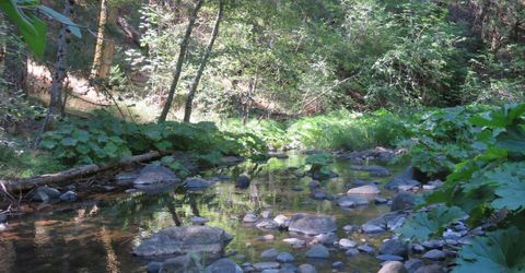 4426 Bald Mountain Road, West Point, CA 95255 Photo