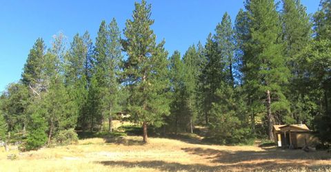 4426 Bald Mountain Road, West Point, CA 95255 Photo