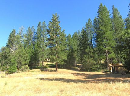 4426 Bald Mountain Road, West Point, CA 95255 Photo