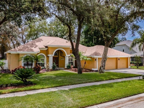 10131 PADDOCK OAKS DRIVE , RIVERVIEW, FL 33569