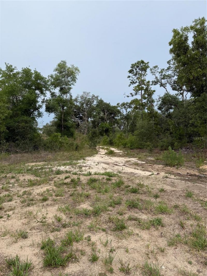 11656 S Florida Avenue, Floral City, FL 34436 Photo