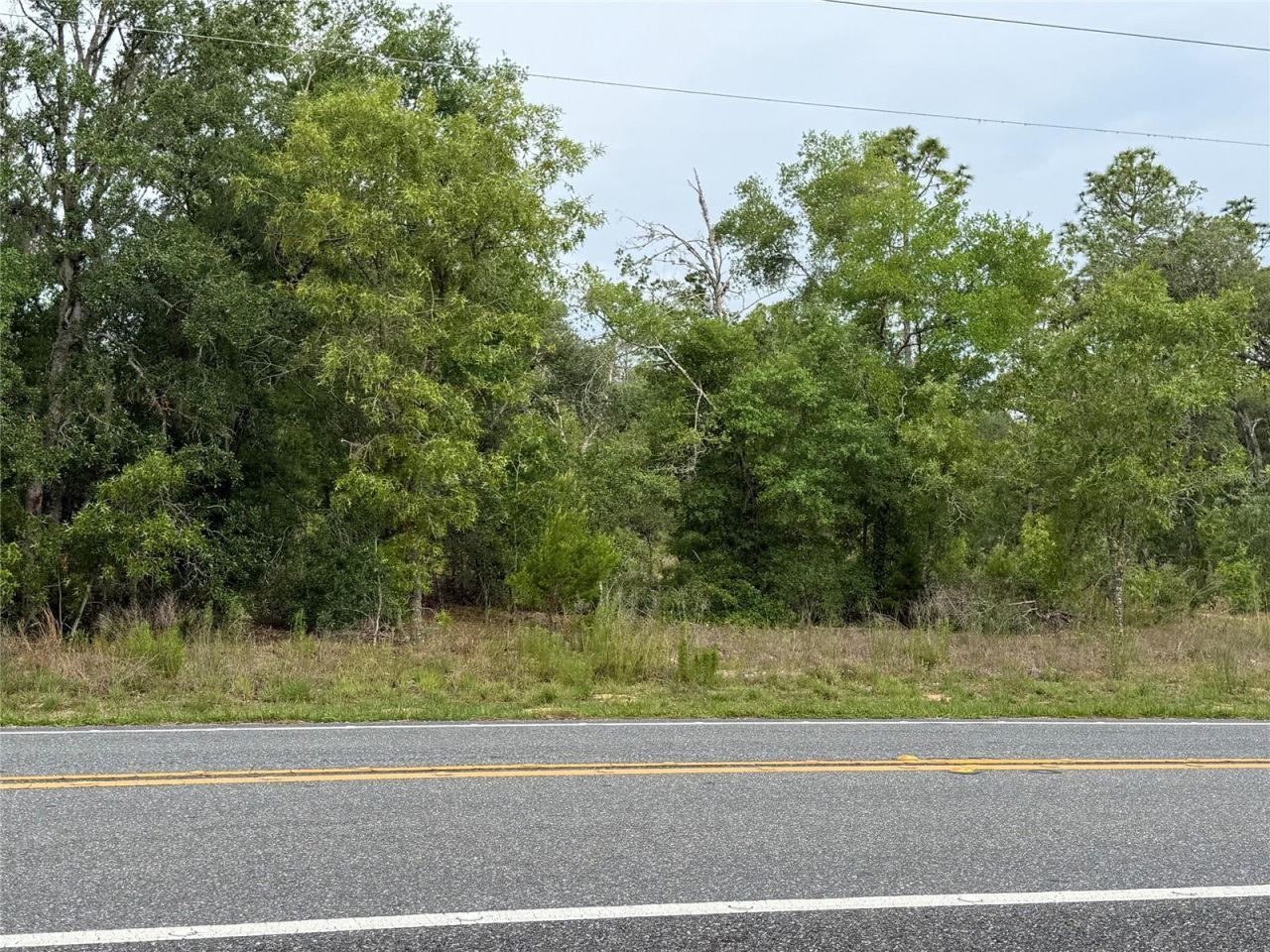 11656 S Florida Avenue, Floral City, FL 34436 Photo