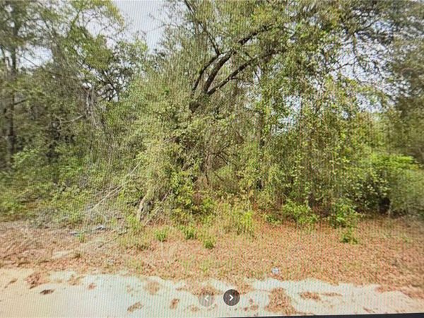 00 ELIZABETH CI , INTERLACHEN, FL 32148