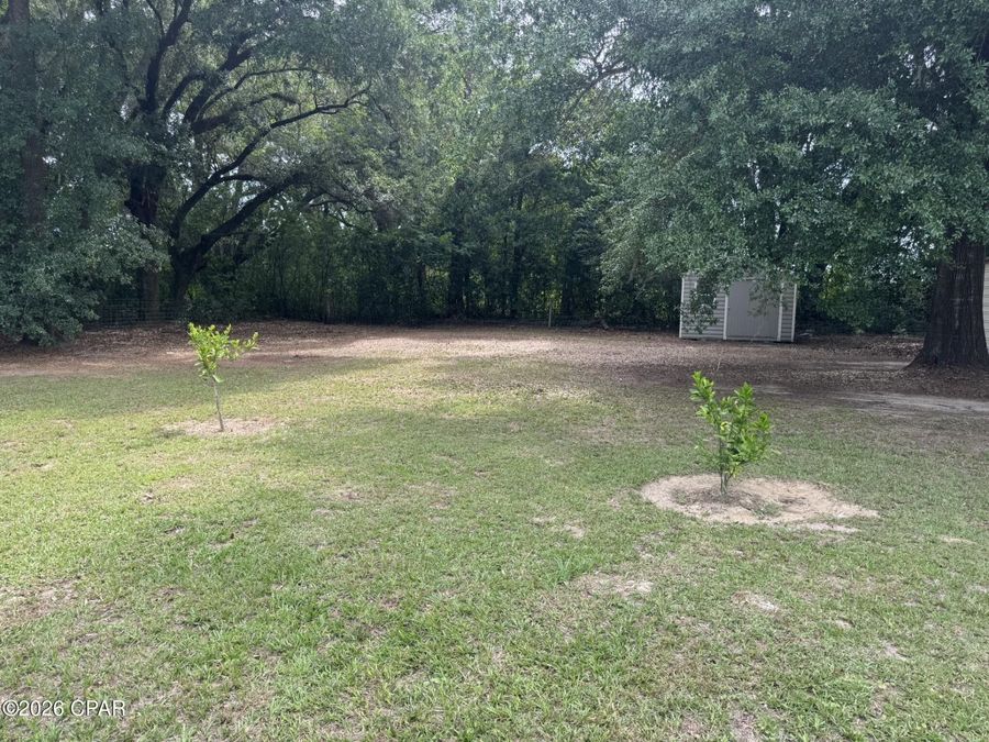 Property Image 45