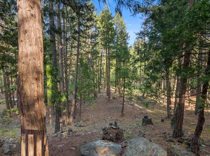 34 Wishram Trail, Graeagle, CA 96103 Photo