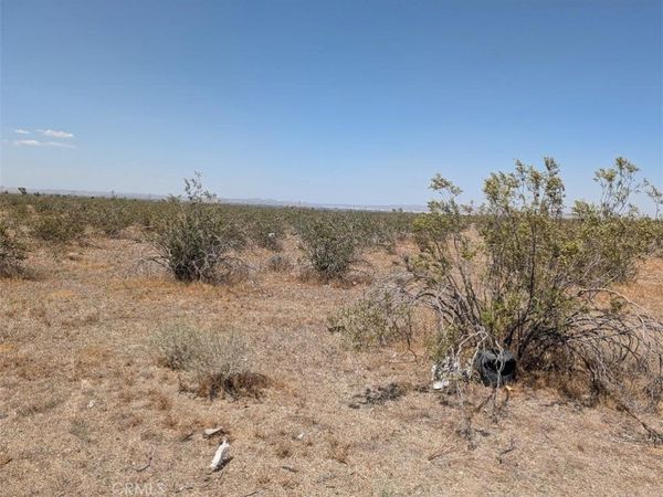 4 Blanco , Pinon Hills, CA 92372