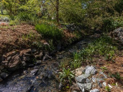 629 Canyon Dr, Auburn, CA 95603 Photo