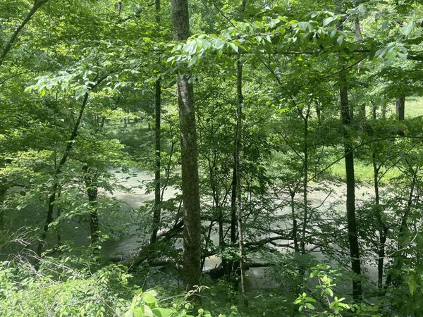 457 Shiloh Rd , Crawford, TN 38554
