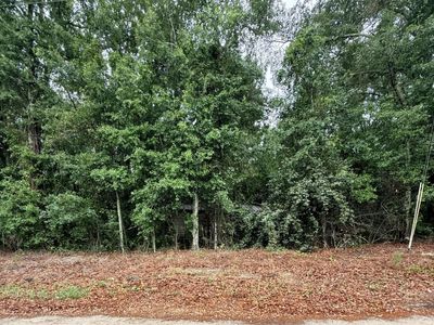 0 Alma Drive, North, SC 29112