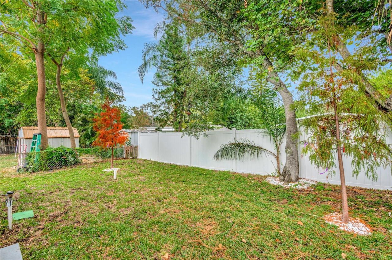 1105 Conant Avenue, Safety Harbor, FL 34695 Photo
