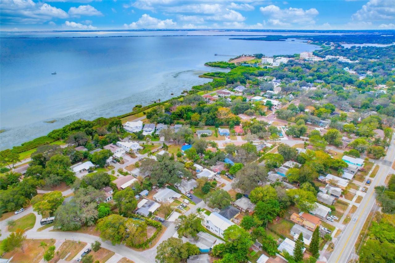 1105 Conant Avenue, Safety Harbor, FL 34695 Photo