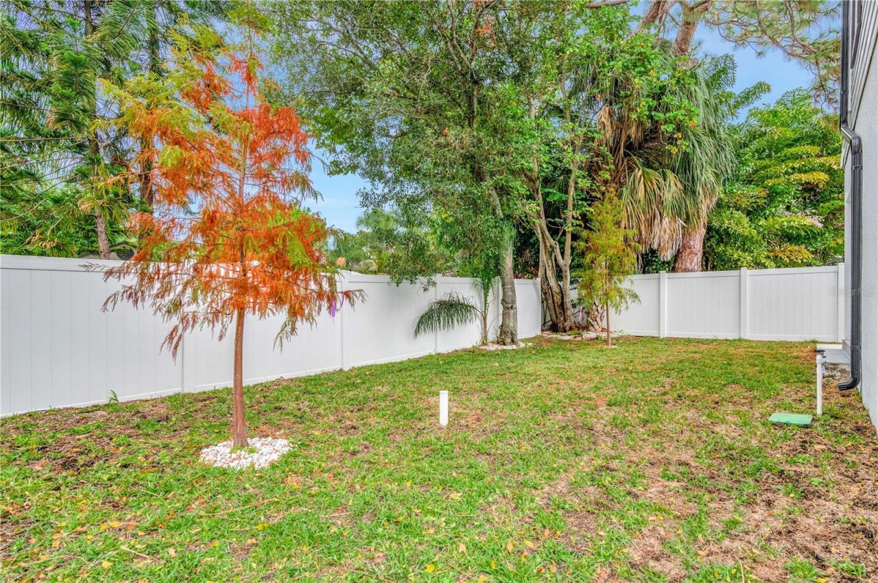 1105 Conant Avenue, Safety Harbor, FL 34695 Photo