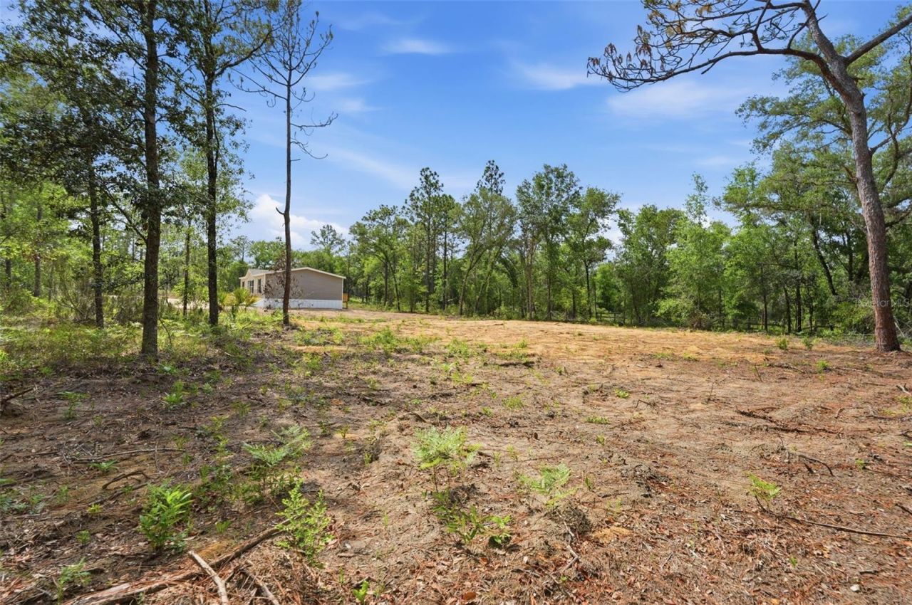 12671 NE 16th Street, Williston, FL 32696 Photo