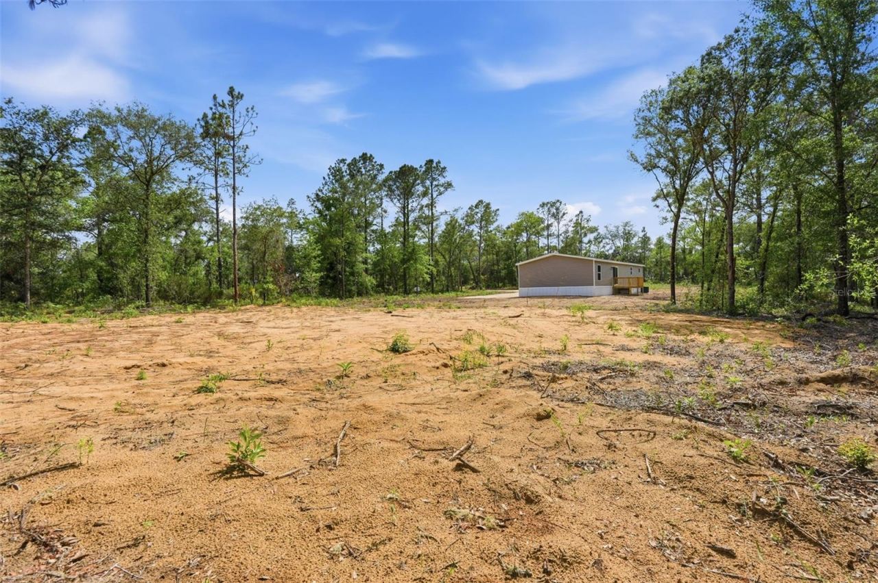 12671 NE 16th Street, Williston, FL 32696 Photo