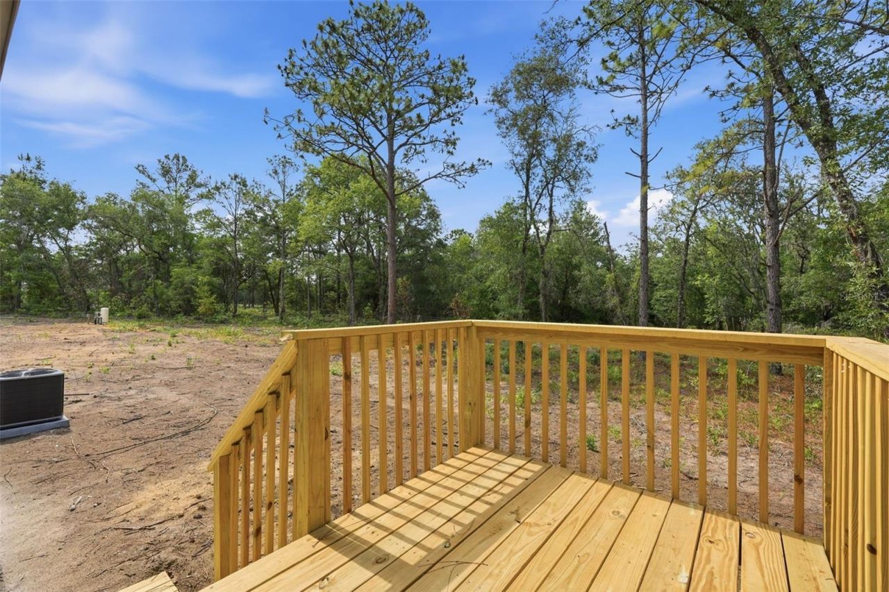 12671 NE 16th Street, Williston, FL 32696 Photo