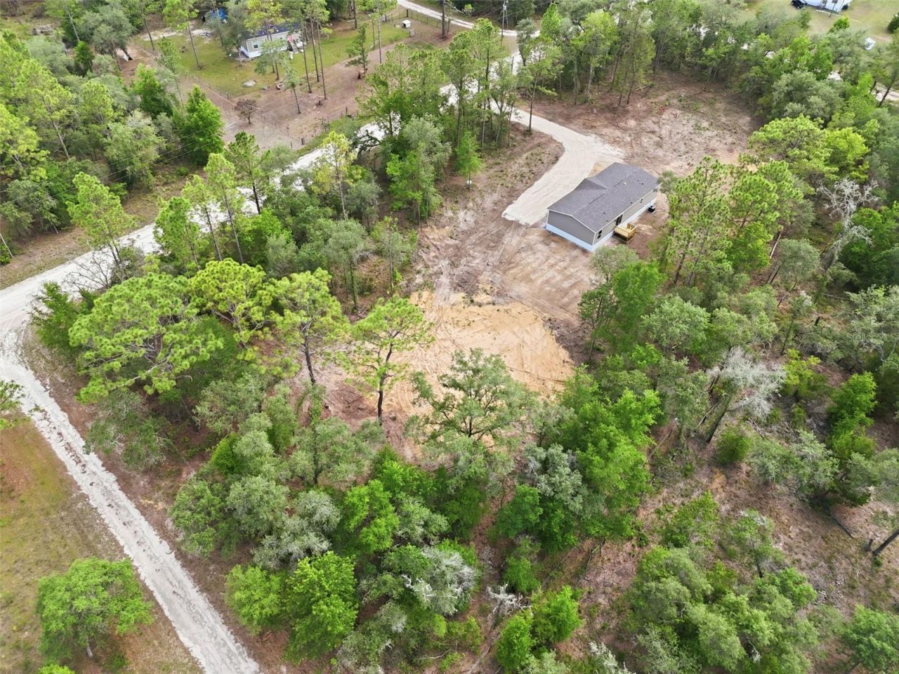 12671 NE 16th Street, Williston, FL 32696 Photo
