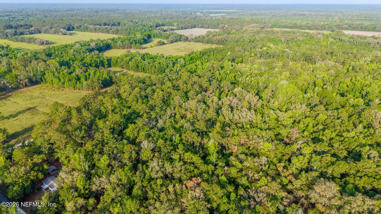 1708 NW 230th Place, Brooker, FL 32622 Photo