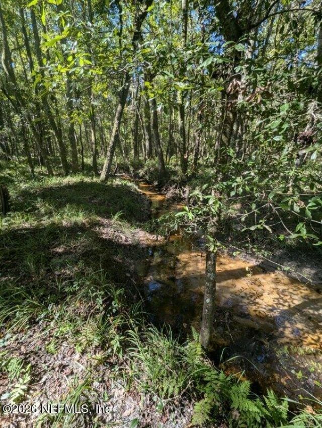1708 NW 230th Place, Brooker, FL 32622 Photo