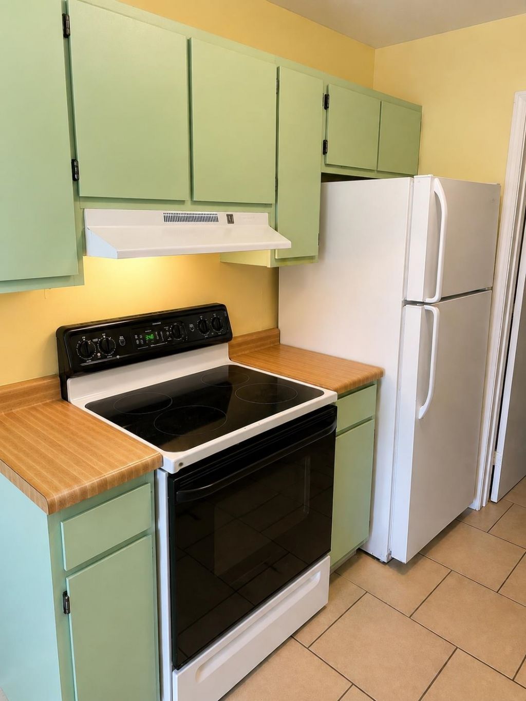 209 Cedar St. Photo 6