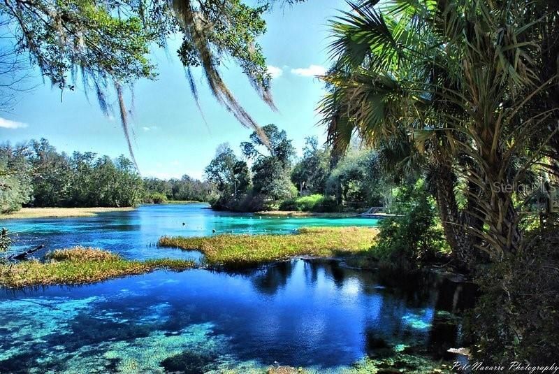 Sw Half Moon Drive, Dunnellon, FL 34431 Photo