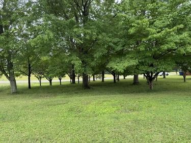 1111 Browning Acres Road, Unit Lot 9, Corbin, KY 40701