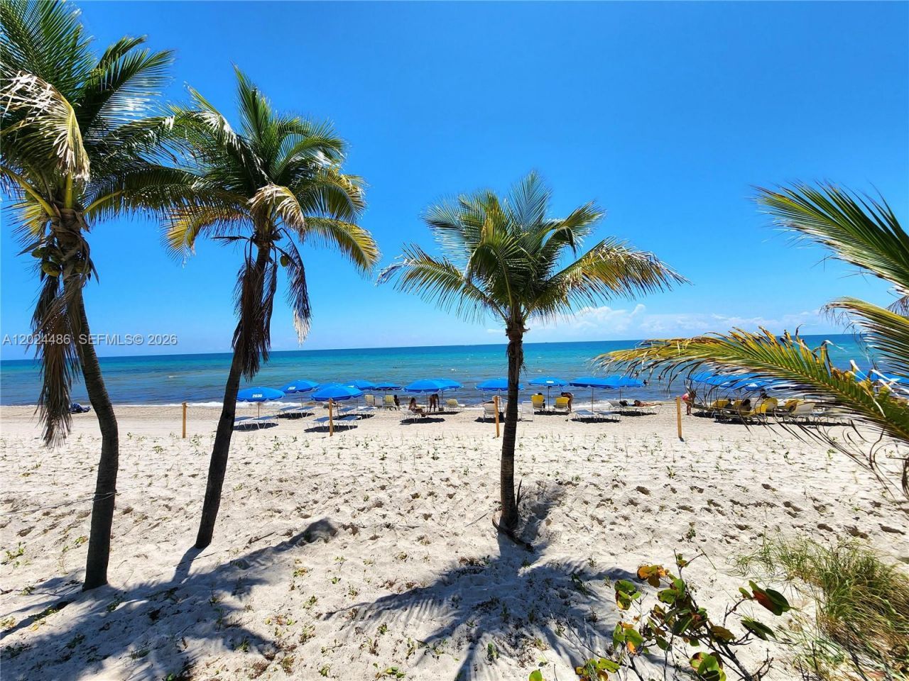 2030 S Ocean Dr , Unit 923, Hallandale Beach, FL 33009 Photo