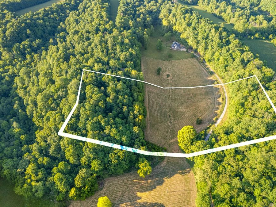 Property Image 4