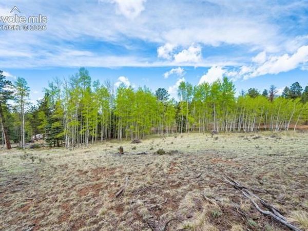 57 Beaver Creek Drive, Lake George, CO 80827