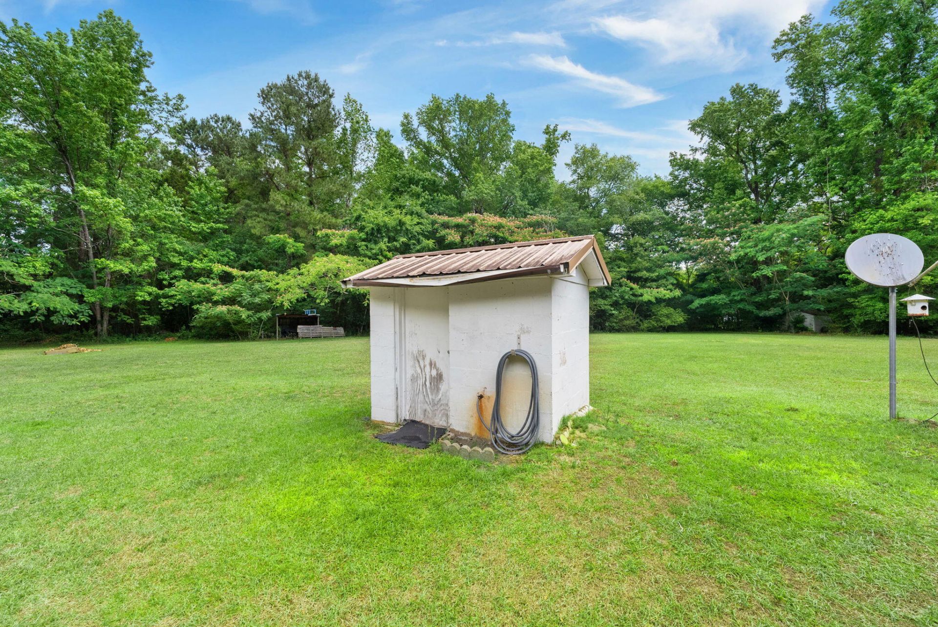 1147 Walter Road Photo 31