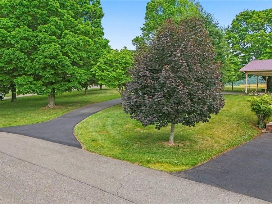 Property Image 55