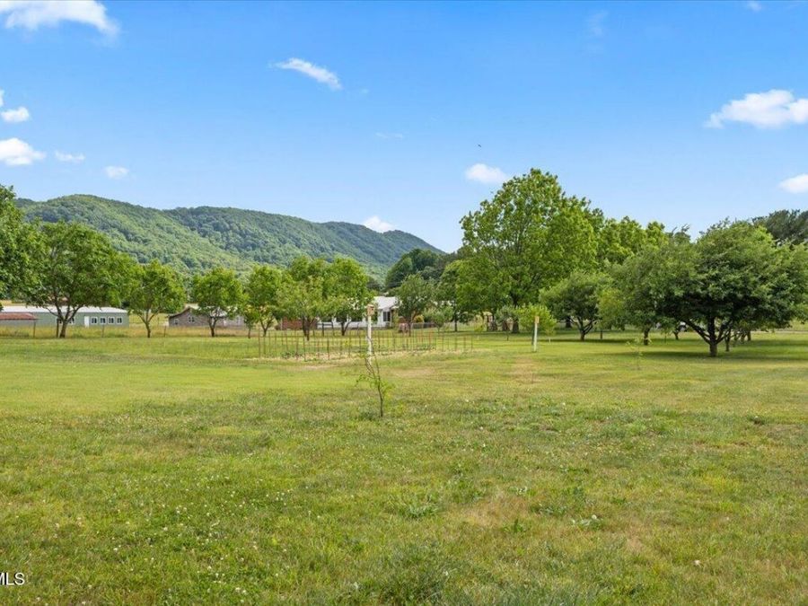 Property Image 63