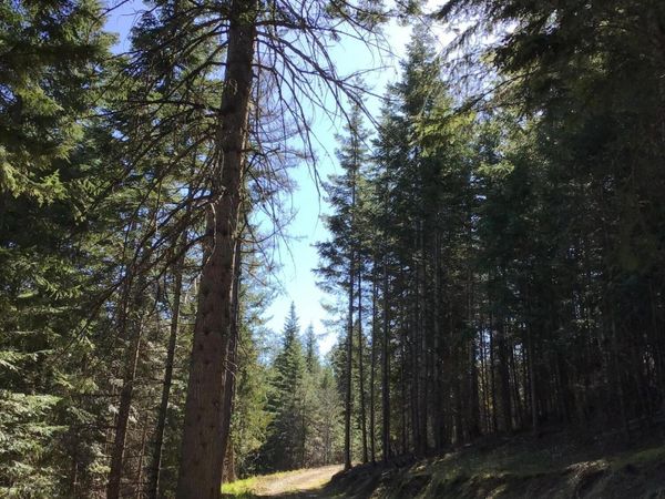 Highway 97, Harrison, ID 83833