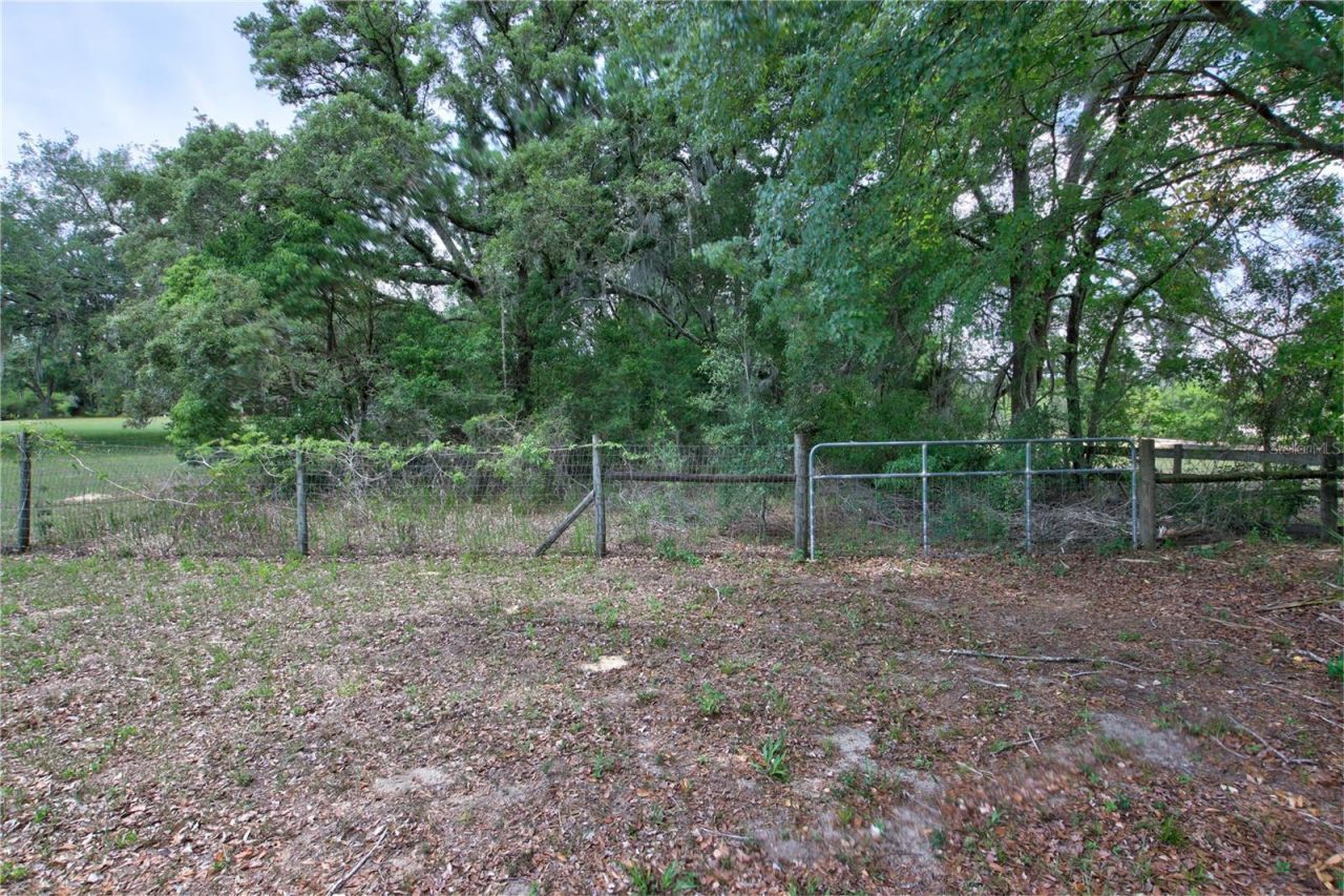 34847 County Road 439, Eustis, FL 32736 Photo