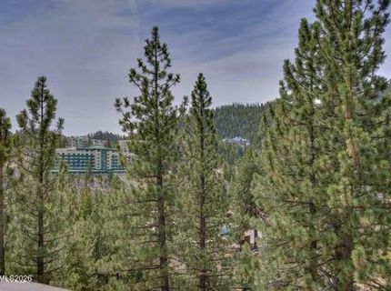 305 Olympic Court, Unit # C, Stateline, NV 89449 Photo