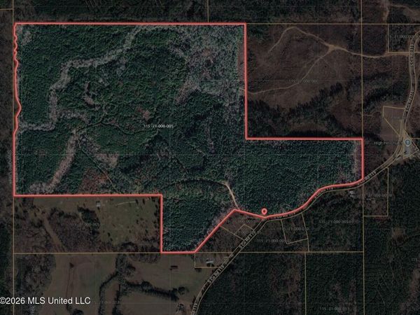 0 S Co Rd 119 , Raleigh, MS 39153