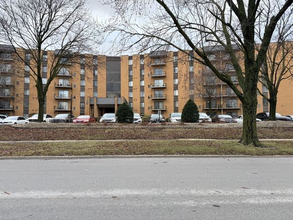 700 N Bruce Lane , Unit 211, Glenwood, IL 60425
