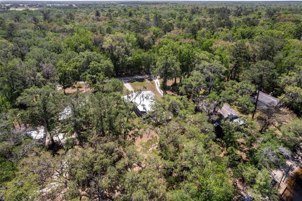 7870 SW 25th Place , Bell, FL 32619 Photo