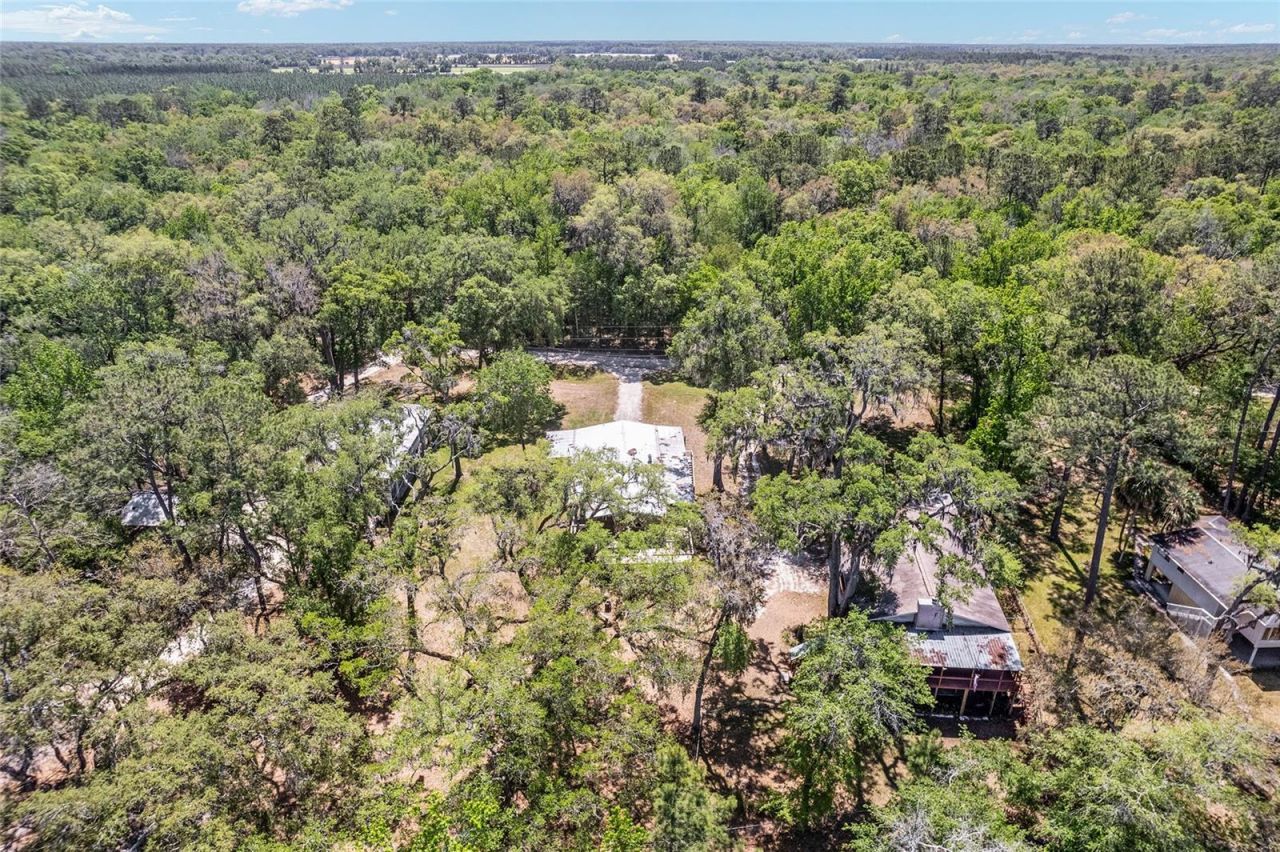 7870 SW 25th Place , Bell, FL 32619 Photo