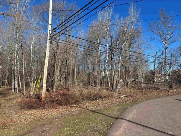 TBD 135 Eleventh Street, Calumet Twp, MI 49913